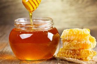 عسل النحل يعالج قروح الفم كالدواء