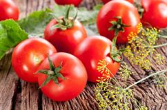 مادة الليكوبين فى الطماطم فعالة فى مكافحة أمرض الكبد 